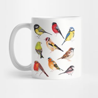 British Garden Birds Collection Mug